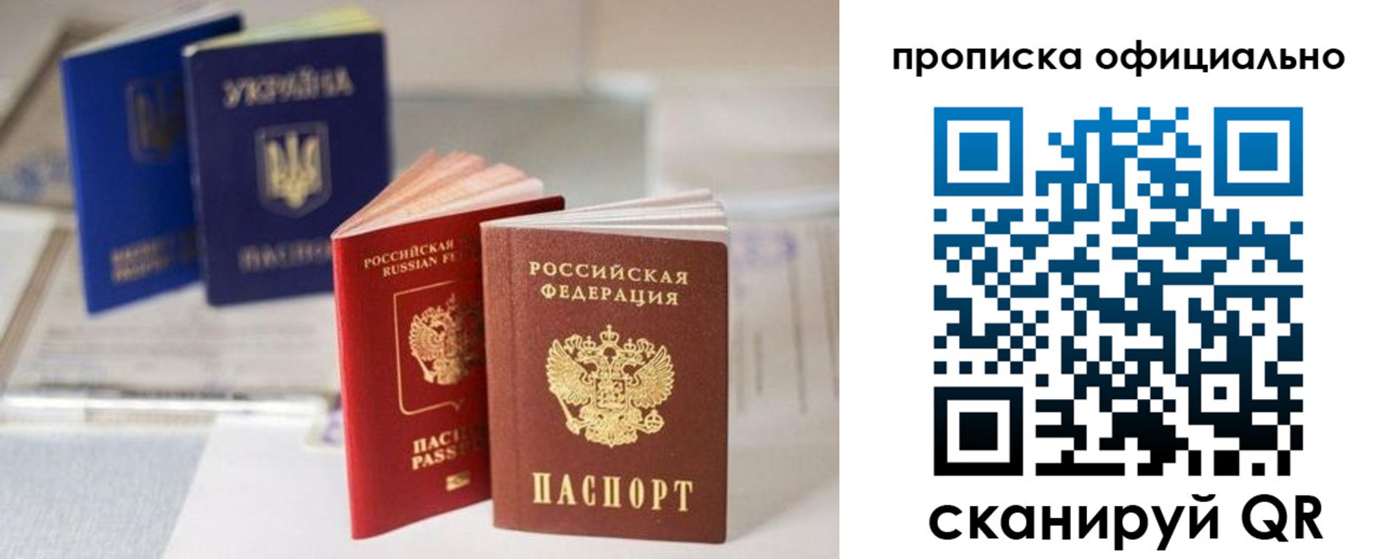 прописка поиск в Емве
